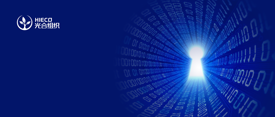 1763537358785973.png 455d3f0bc13ead1f05521afd38885687.png